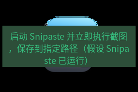 截图工具 启动 Snipaste 并立即执行截图，保存到指定路径（假设 Snipaste 已运行）
