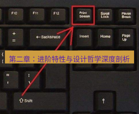 截图工具 第二章：进阶特性与设计哲学深度剖析